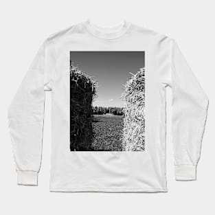 Two Sides of Hay. Campogalliano, Italy 2011 Long Sleeve T-Shirt